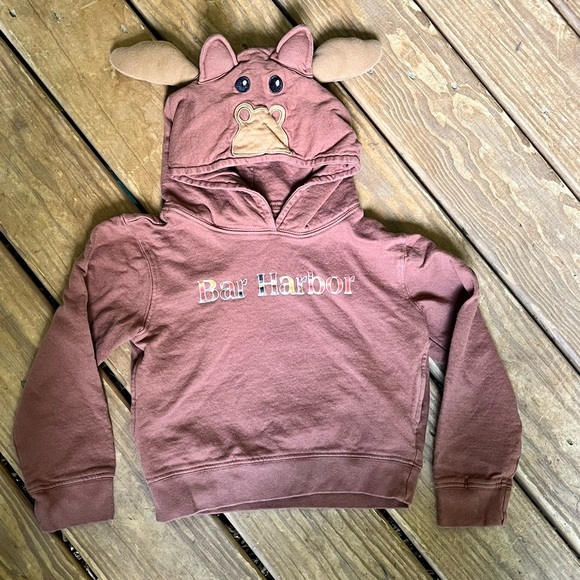 Wild Child Hoodie Moose Head Bar Harbor Size 4T Pockets Brown - Picture 1 of 9